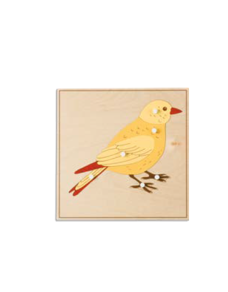 PUZZLE DEGLI ANIMALI: UCCELLO - MONTESSORI