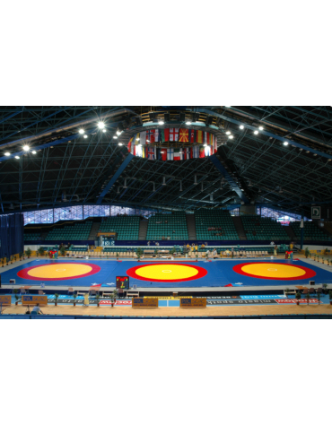 Tappeto lotta in agglomerato densità 150 Kg/mc - omologato FILA - cm 200x100x5h