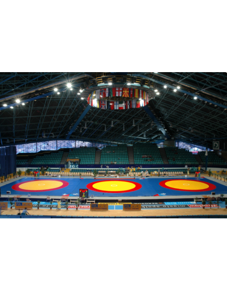 Tappeto lotta in agglomerato densità 150 Kg/mc - omologato FILA - cm 200x100x5h