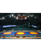 Tappeto lotta in agglomerato con fondo antiscivolo - omologato FILA - cm 200x100x5h