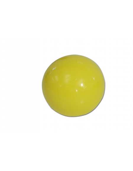 Palla con valvola rigonfiabile per psicomotricità , diametro cm 45.