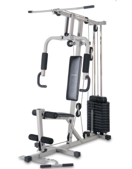 Panca multipla leg extension, pectoral,  completa di 10 piastre da kg 5 cad., peso totale kg 120.