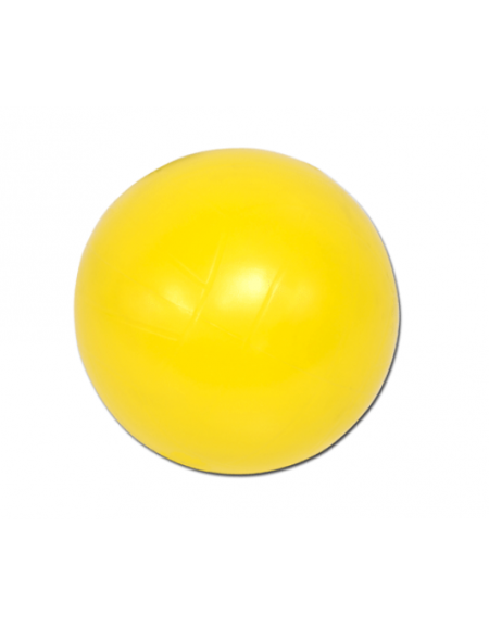 Pallone minivolley ufficiale FIPAV