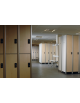 Armadio spogliatoio, pannelli di laminato. Colonna con singolo vano avente dimensioni cm 30x50x180h