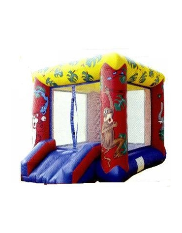 Vasca Palline Safary