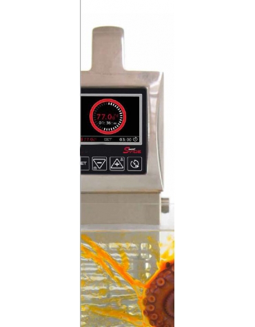 Roner professionale cuocitore sottovuoto per vasca fino a 56 litri - Strumento di cottura a bassa temperatura sottovuoto