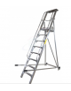 Scala a palchetto a 10 gradini con pedana di lavoro 9+1 - altezza piano cm 250 - Dimensione chiusa cm 100x45x400h
