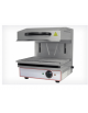 Salamandra mobile in acciaio inox con piano di cottura mm 445x325 - mm 450x450x530h