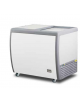 Congelatore a pozzetto con coperchi scorrevoli ciechi - 210 Lt. - temp. -18°-23°C - mm L x P x H: 990 x 715 x 875