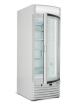 Espositore vetrina congelatore verticale statico - 16° - 18°C - Vetro curvo - cm 67x73,5x196h