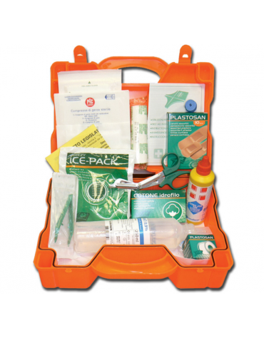 Kit Pronto Soccorso con valigetta in plastica - mm 290 x 215 x 90