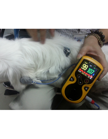 Pulsoximetro OXY-100 veterinaria, misura la saturazione dell’ossigeno (SpO2) e la frequenza cardiaca (PR)