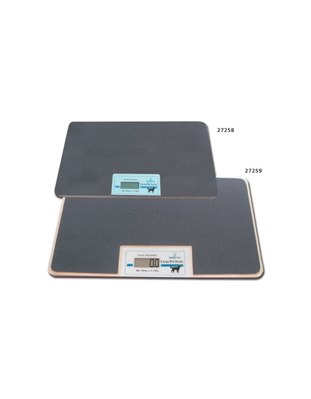 BILANCIA VETERINARIA ELETTRONICA CM. 62X83