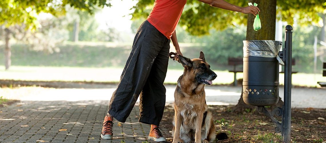 Raccogliere le feci del proprio cane è un obbligo civico e giuridico - Dina  Forniture