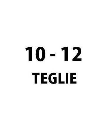 Da 10 a 12 teglie GN 1/1