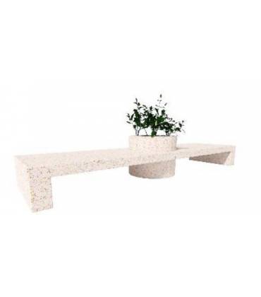 Linea Carini